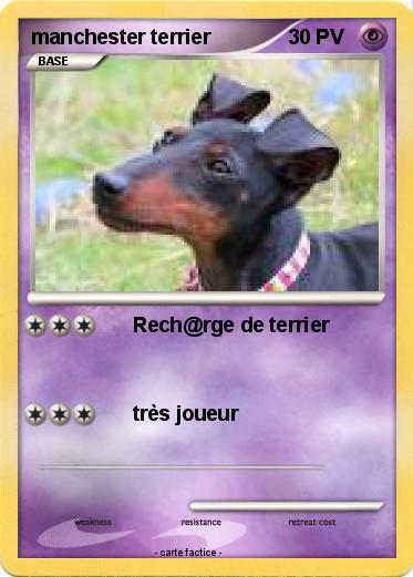 Pokemon manchester terrier