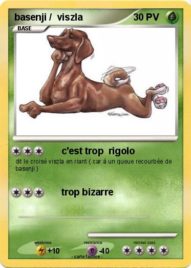 Pokemon basenji /  viszla