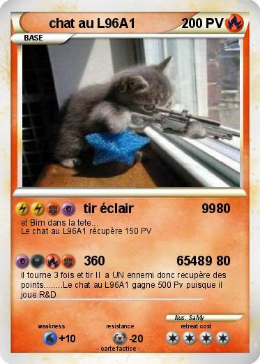 Pokemon chat au L96A1