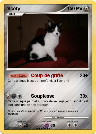 Pokemon Scoty