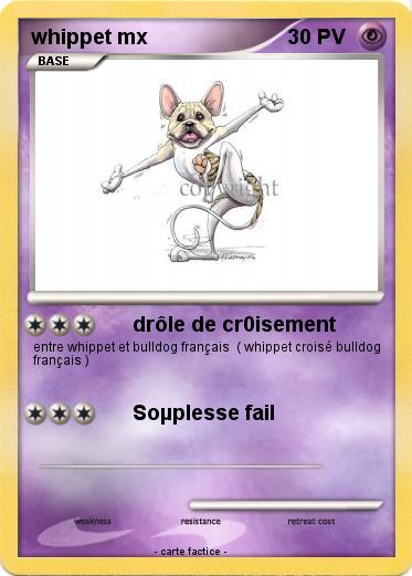 Pokemon whippet mx