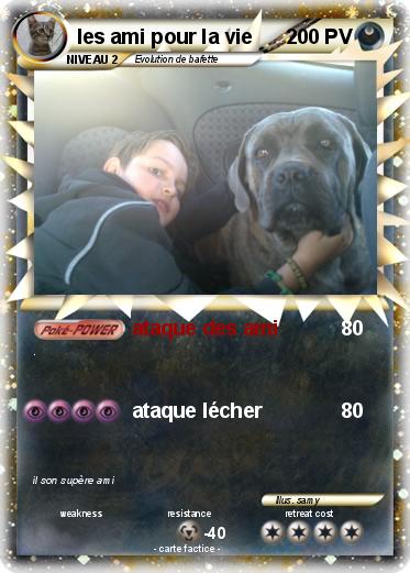 Pokemon les ami pour la vie