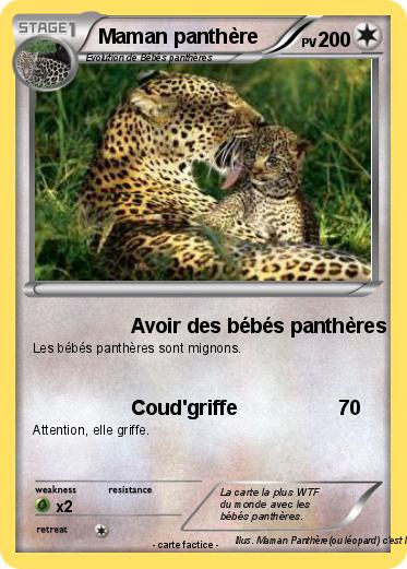 Pokemon Maman panthère