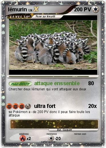 Pokemon lémurin