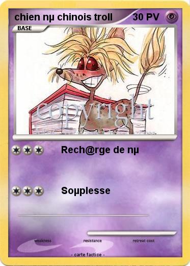 Pokemon chien nµ chinois troll