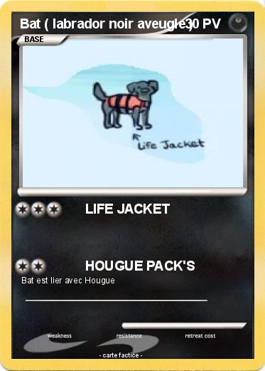 Pokemon Bat ( labrador noir aveugle )