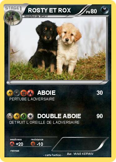 Pokemon ROSTY ET ROX