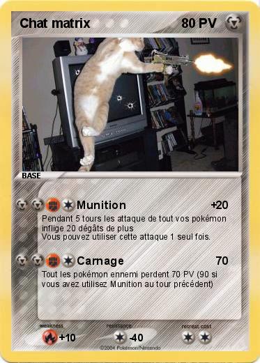 Pokemon Chat matrix 