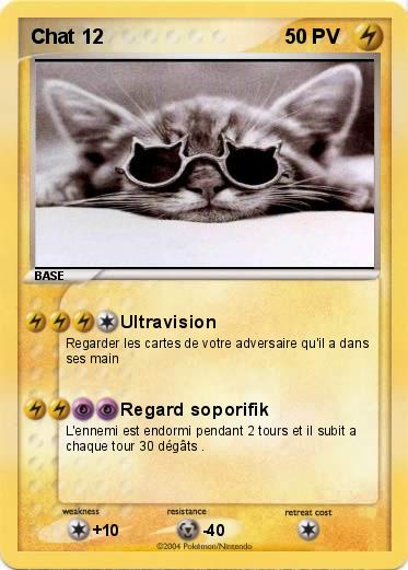 Pokemon Chat 12 