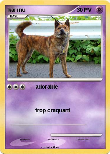 Pokemon kai inu