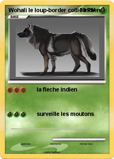 Pokemon Wohali le loup-border collie indien