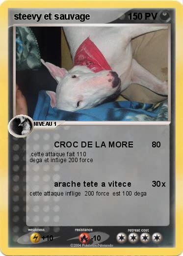 Pokemon steevy et sauvage