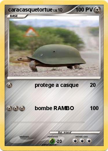 Pokemon caracasquetortue