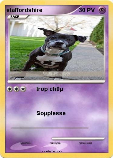 Pokemon staffordshire