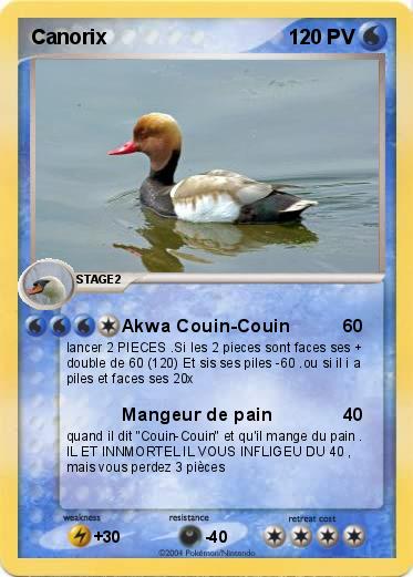 Pokemon Canorix