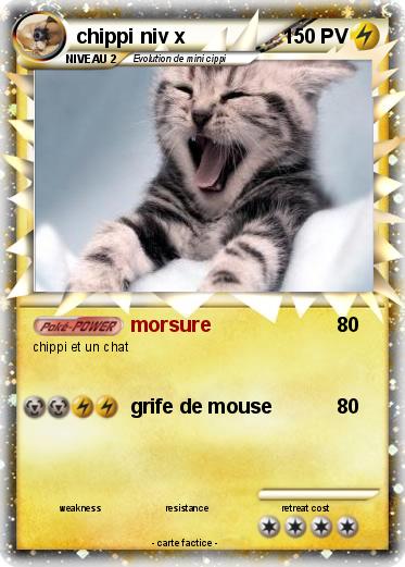 Pokemon chippi niv x