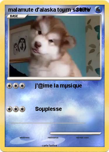 Pokemon malamute d'alaska toµrn sa t£te