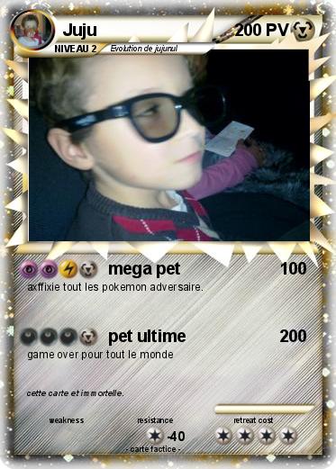 Pokemon Juju