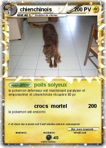 Pokemon chienchinois