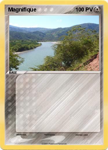 Pokemon Magnifique 