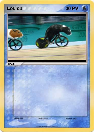 Pokemon Loulou 