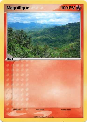 Pokemon Magnifique 