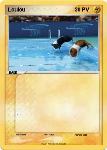 Pokemon Loulou 
