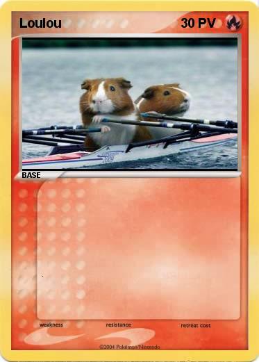 Pokemon Loulou 