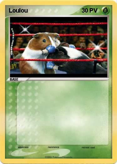 Pokemon Loulou 