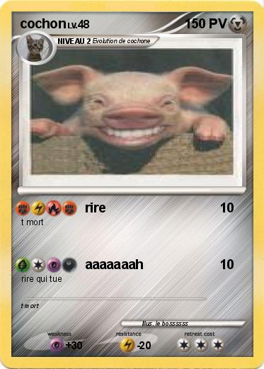 Pokemon cochon