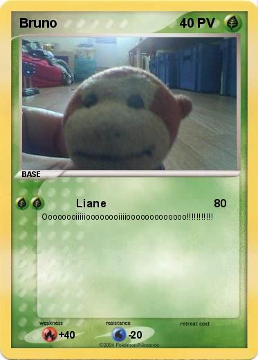 Pokemon Bruno