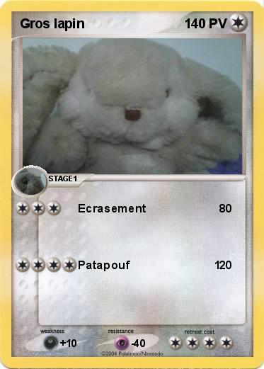 Pokemon Gros lapin