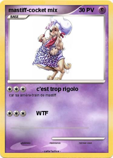 Pokemon mastiff-cocket mix