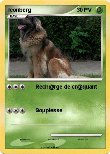 Pokemon leonberg