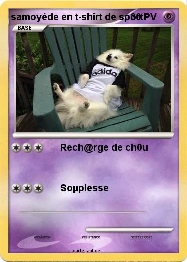 Pokemon samoyède en t-shirt de sport