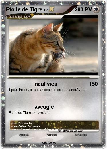 Pokemon Etoile de Tigre