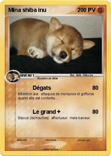 Pokemon Mina shiba inu