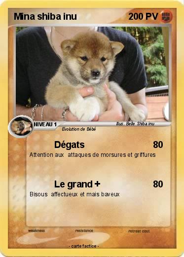 Pokemon Mina shiba inu