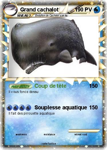 Pokemon Grand cachalot