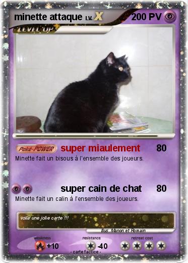 Pokemon minette attaque