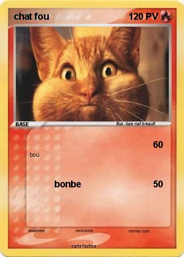 Pokemon chat fou