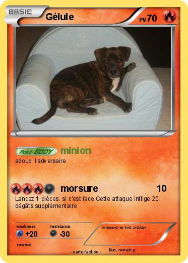 Pokemon Gélule