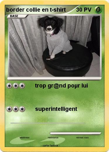 Pokemon border collie en t-shirt