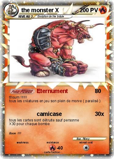 Pokemon the monster X