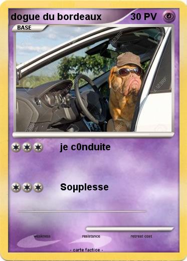Pokemon dogue du bordeaux