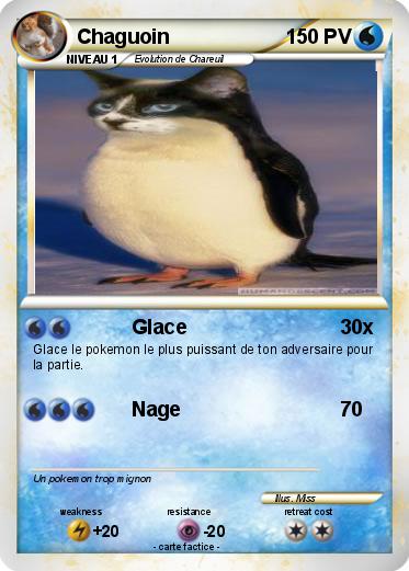 Pokemon Chaguoin