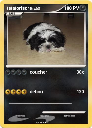 Pokemon tetatorisore