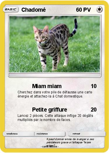 Pokemon Chadomé