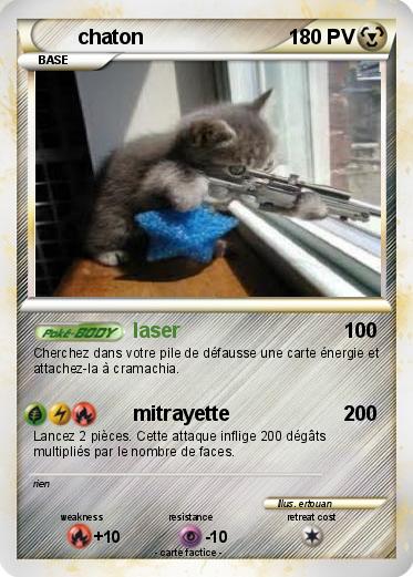 Pokemon chaton