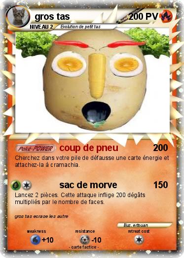 Pokemon gros tas